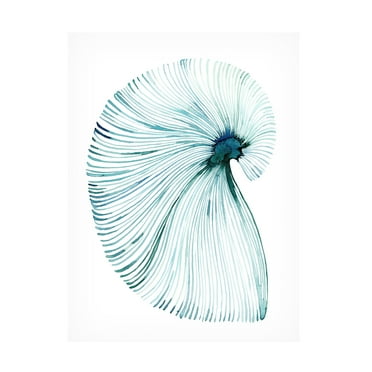 Grace Popp 'Eye of the Ocean II' Canvas Art
