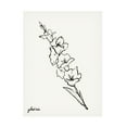 thumbnail image 1 of Grace Popp 'Gladiola Sketch I' Canvas Art, 1 of 4