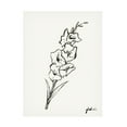 thumbnail image 1 of Grace Popp 'Gladiola Sketch II' Canvas Art, 1 of 4
