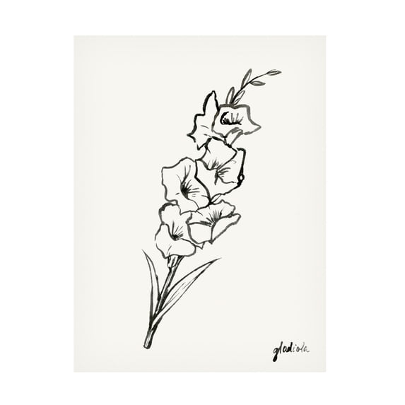 Grace Popp 'Gladiola Sketch II' Canvas Art
