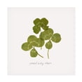 thumbnail image 1 of Grace Popp 'Pressed Clover II' Canvas Art, 1 of 3