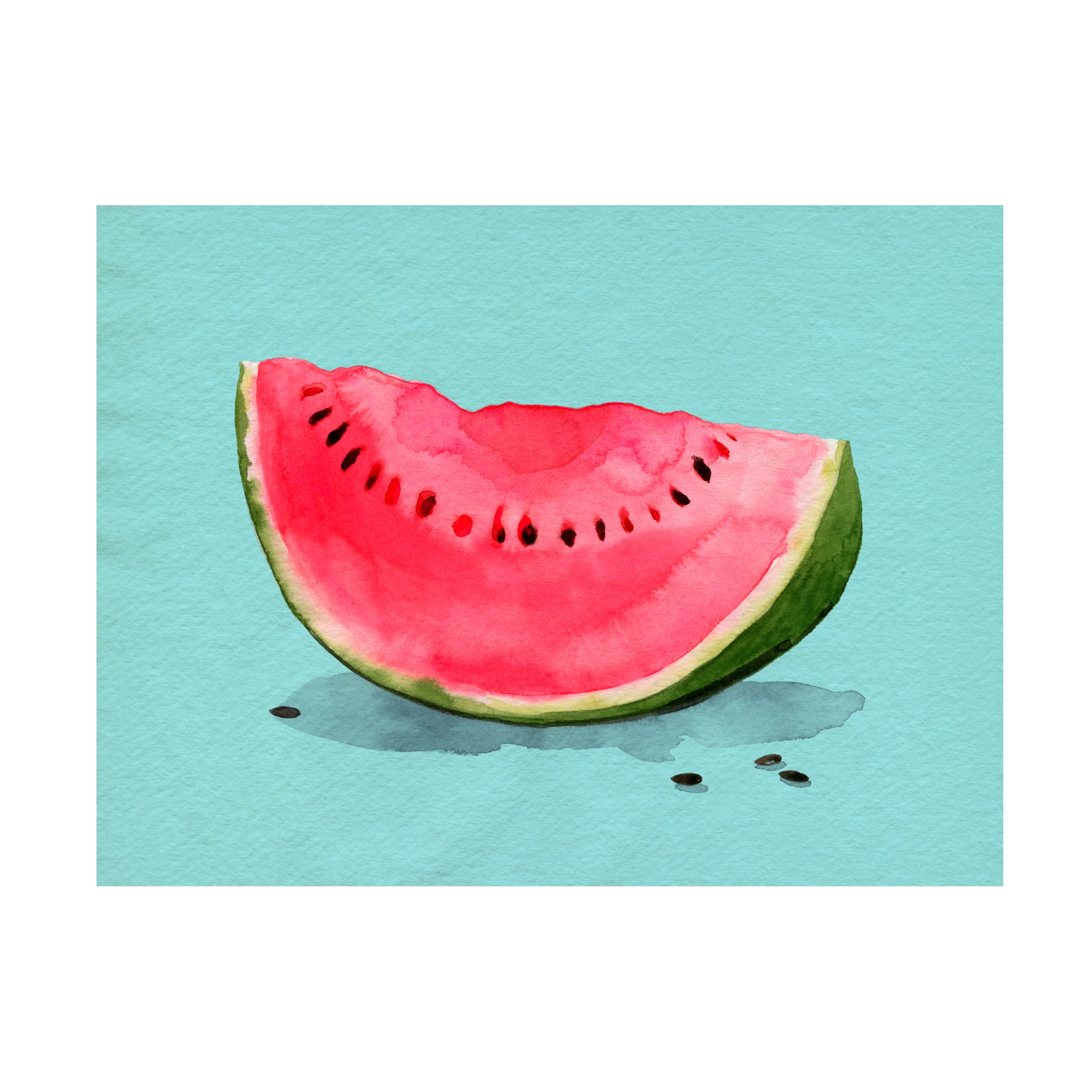 Summer Watermelon Canvas Art in Light Blue and Red