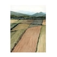 thumbnail image 1 of Grace Popp 'This Land II' Canvas Art, 1 of 3