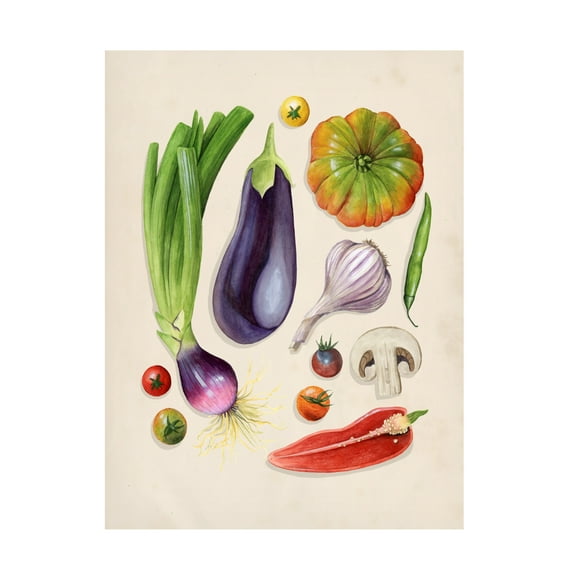 Grace Popp 'Vegetable Garden I' Canvas Art