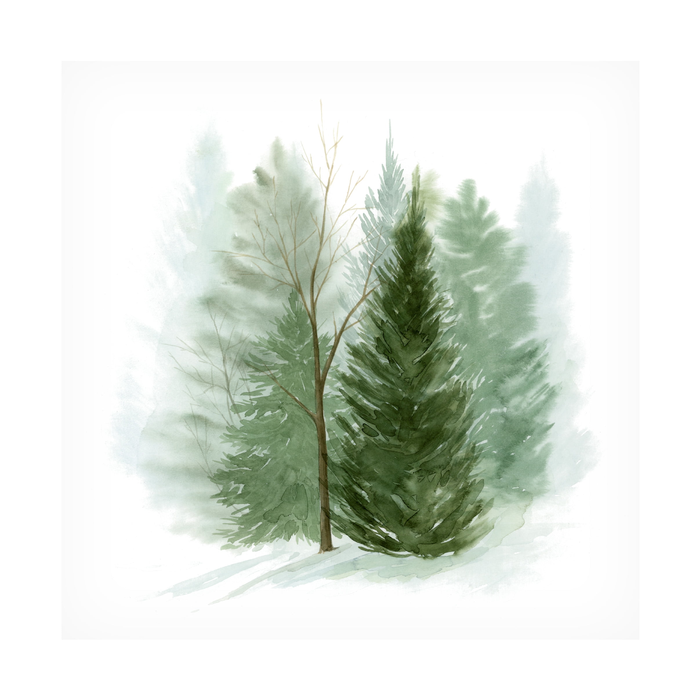 Grace Popp 'Walk in the Woods I' Canvas Art