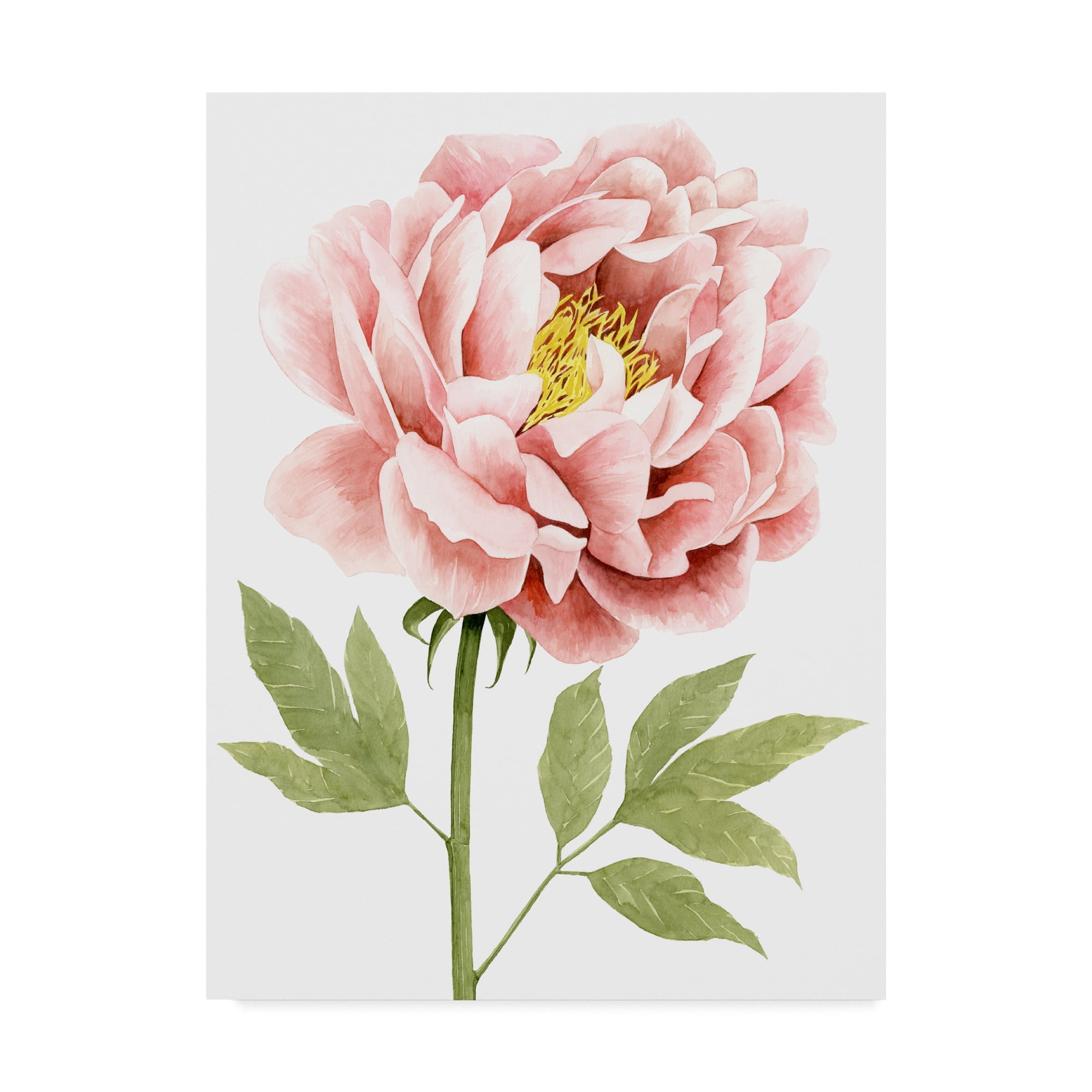 Grace Popp 'Watercolor Peony I' Canvas Art