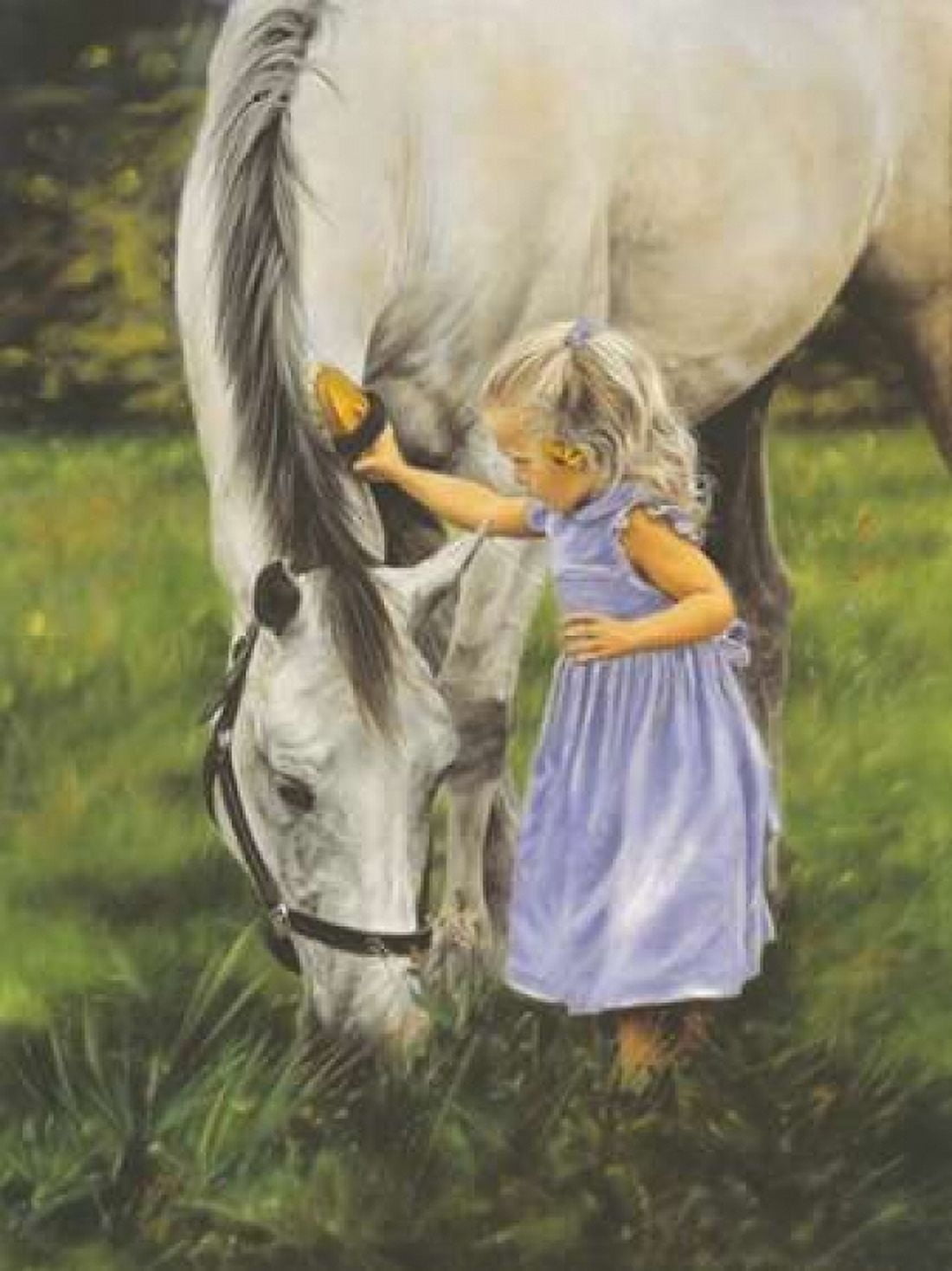 Grace and the Grey Canvas Art - Lesley Harrison (18 x 24)