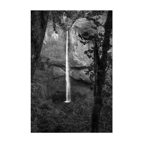 Graceful Descent - Oregon Photography Waterfall Black and White Nature Forest Landscape Scenic Wilderness Unframed Wall Art Print 32 x 48 inches
