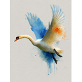 thumbnail image 1 of Graceful Flying Swan Canvas Wall Art, Soft Watercolor Print, Minimalist Nature Home Wall Decor, 1 of 8