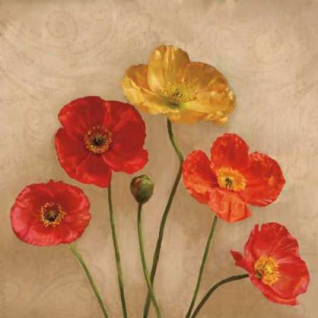 Graceful Spring II Canvas Art - Janel Pahl (24 x 24)