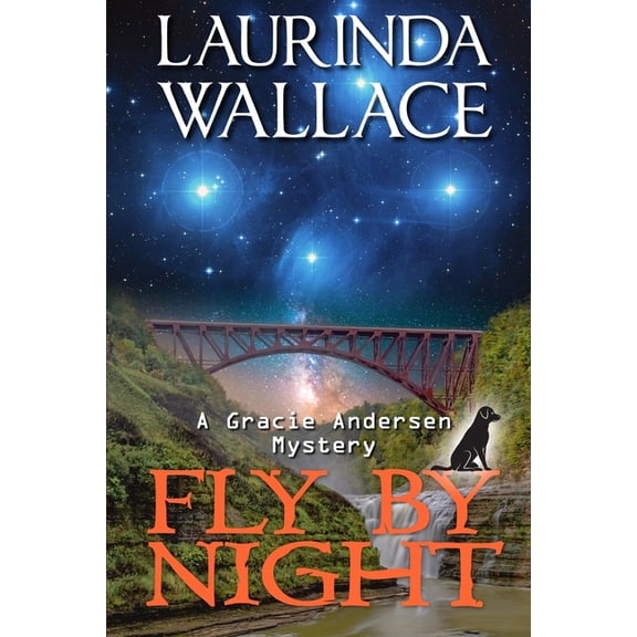 Gracie Andersen Mystery: Fly by Night (Paperback)