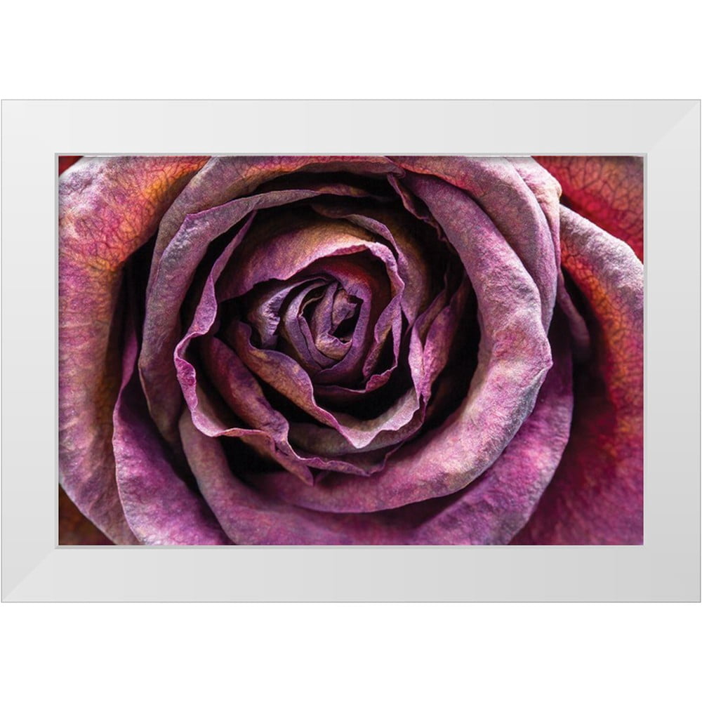 Graciet, Stephane 24x17 White Modern Wood Framed Museum Art Print ...