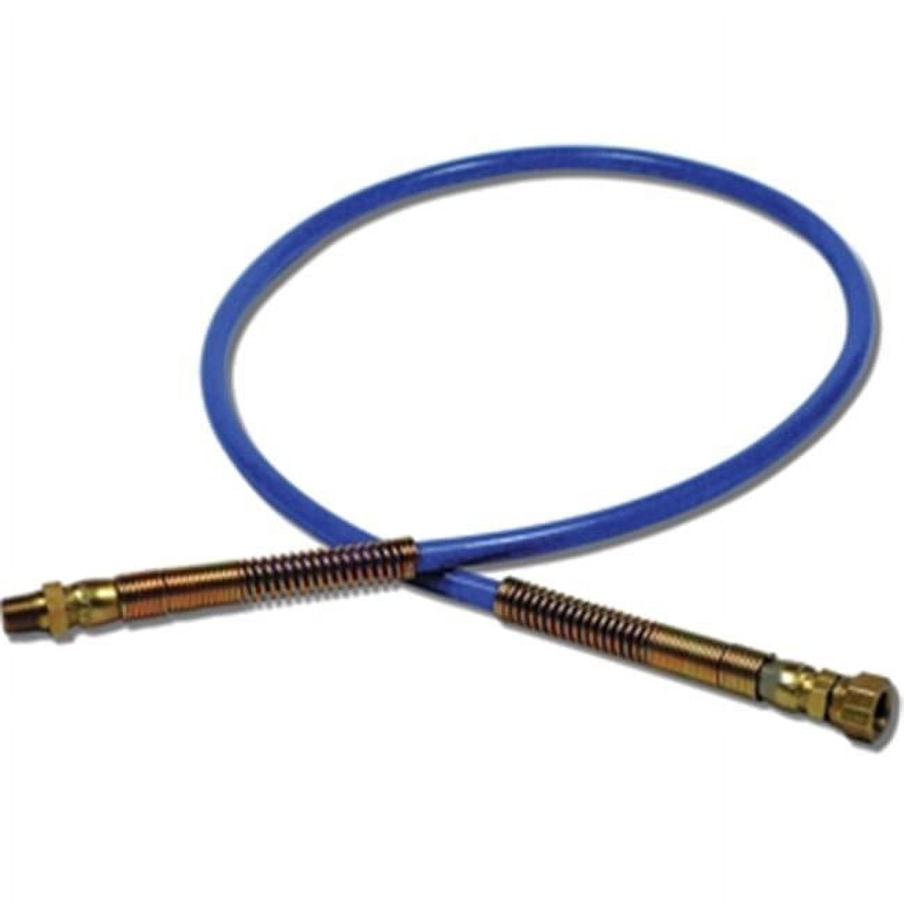 Fuji Spray 2049F 6-Foot Flexible Whip Hose, Blue