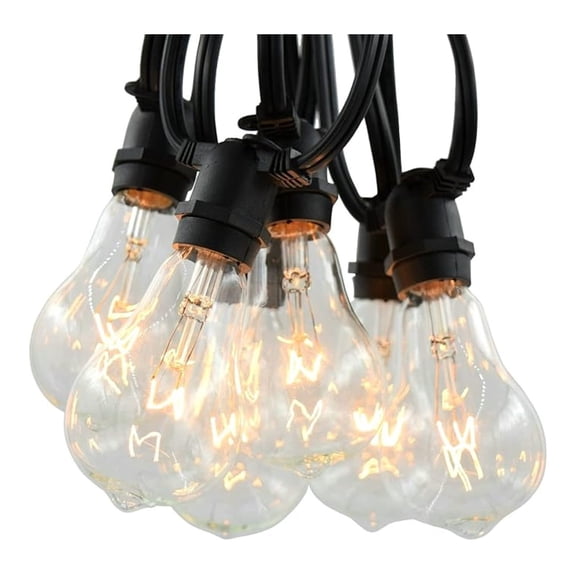 Grade Vintage Edison Outdoor String Lights (PS50 Clear - Black Wire, 25 ft)