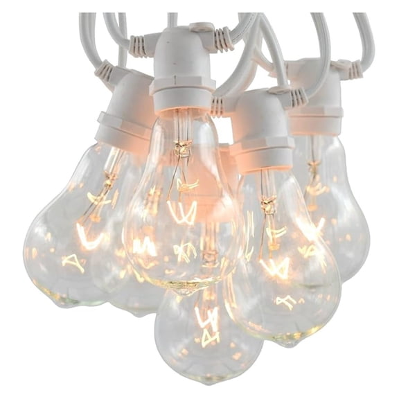 Grade Vintage Edison Outdoor String Lights (PS50 Clear - White Wire, 25 ft)