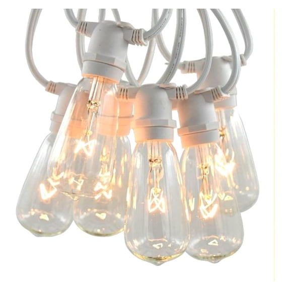 Grade Vintage Edison Outdoor String Lights (ST40 Clear - White Wire, 25 ft)