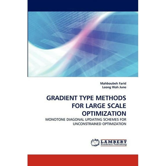 Gradient Type Methods for Large Scale Optimization (Paperback)