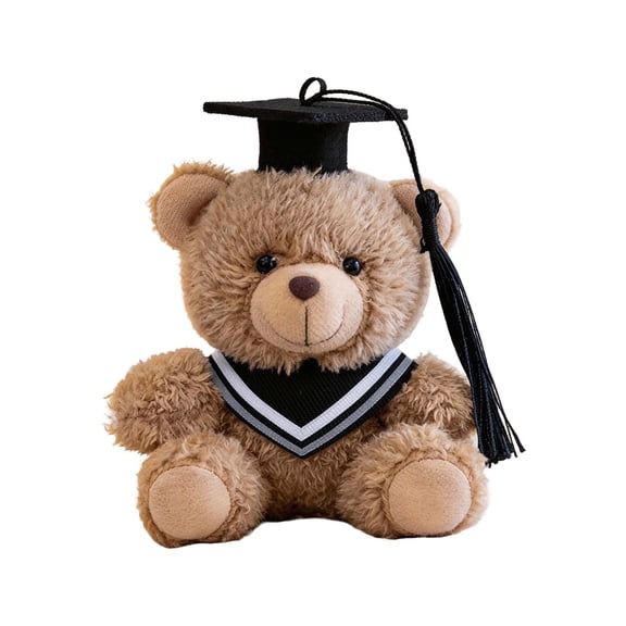 Graduation Bear Plush, Commemorative Graduation Stuffed Animal in Cap and Gown, Keepsake Graduation Gift for Graduate, College Graduation Present, Ceremony Souvenir Teddy Bear