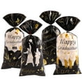 thumbnail image 1 of Graduation Candy Bags with Handles, Heavy-Duty Reusable Plastic Pouches for Cookies and Treats, 1 of 9