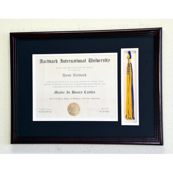 Graduation Diploma and Tassel Display Frame for 11 x 8.5 Certificate w/Custom Matting Colors (Custom Mat Colors: Need to Provide in Gift Box, Cherry)