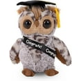 thumbnail image 1 of Graduation Plush Toy 2025 – Soft Stuffed Animal Plush with Cap & Diploma/Gown/Sash – Graduation Gift for Kids Preschool Kindergarten College Achievements (Wise Owl with Cap & Sash), 1 of 7