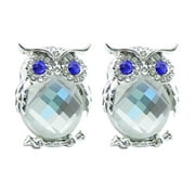 OFNADKSLLIN Graduation Season Men's Diamond Earrings Stud Earrings Stereo Owl Stud Earrings Diamond Glass Stud Earrings Aunt's Gift Silver Earring Hoop