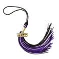 thumbnail image 1 of Graduation Tassel 2025 BLACK/PURPLE/GRAY- Tassel Depot Brand, 1 of 5