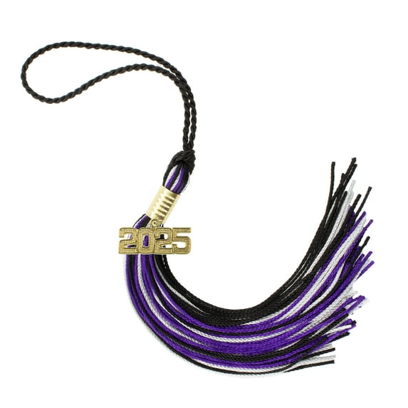 Graduation Tassel 2025 BLACK/PURPLE/GRAY- Tassel Depot Brand