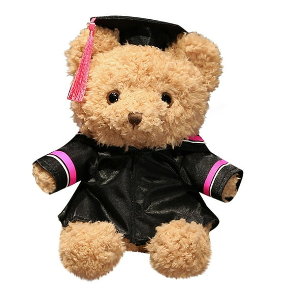 Graduation Teddy Bear Gift 2024 for Her, for Him, for High School, College, Cute Custom Brown Bears