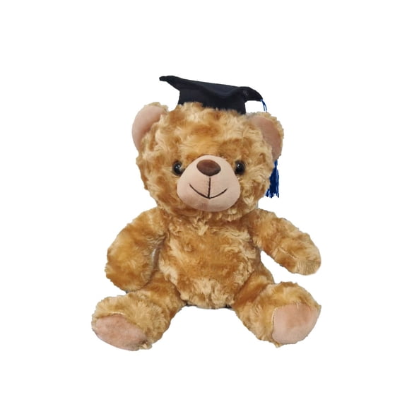 Graduation Teddy Bear, Graduation Doctor Bear, 2026 Graduation Decorations, Graduation Party Decorations, Graduation Decorations, Graduation Party Photo Booth Props Kit