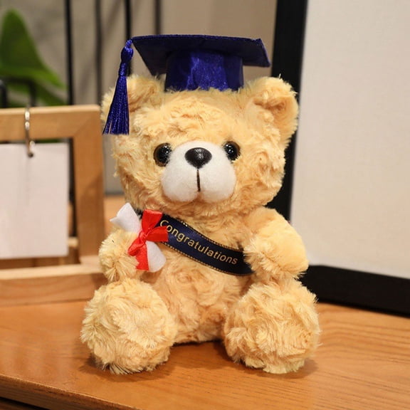 Graduation Teddy Bear, Graduation Doctor Bear, 2026 Graduation Decorations, Graduation Party Decorations, Graduation Decorations, Graduation Party Photo Booth Props Kit