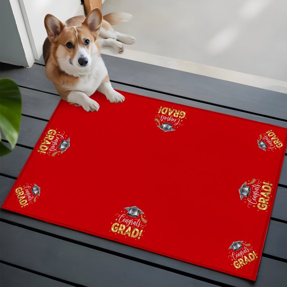 Graduats Grad Washable Entry Rug 2x3 Sage Green Red Background Low-Profile Area Rugs with Non Slip Backing Indoor Floor Carpet for Entrance Living Room Bedroom Home Office
