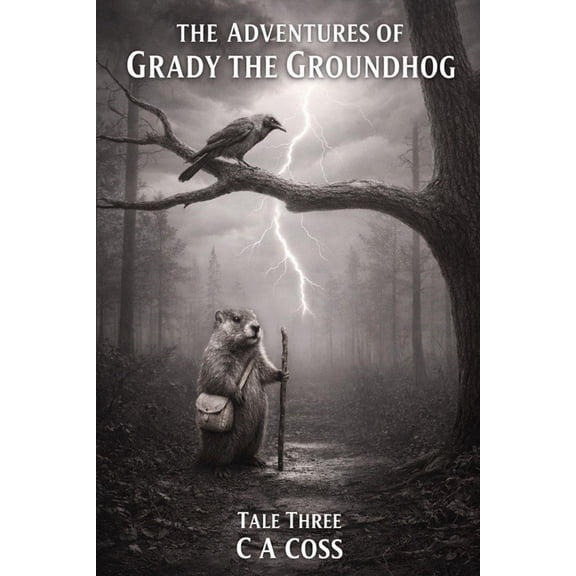 Grady the Groundhog's Maplewood Tales The Adventure of Grady the Groundhog Tale Three: Grady and the Stormy Sky, Book 3, (Paperback)