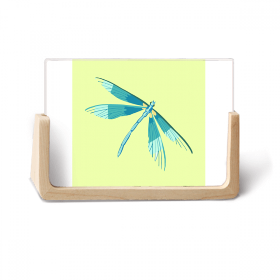 Graffiti Dragonfly Specimens Photo Wooden Photo Frame Tabletop Display