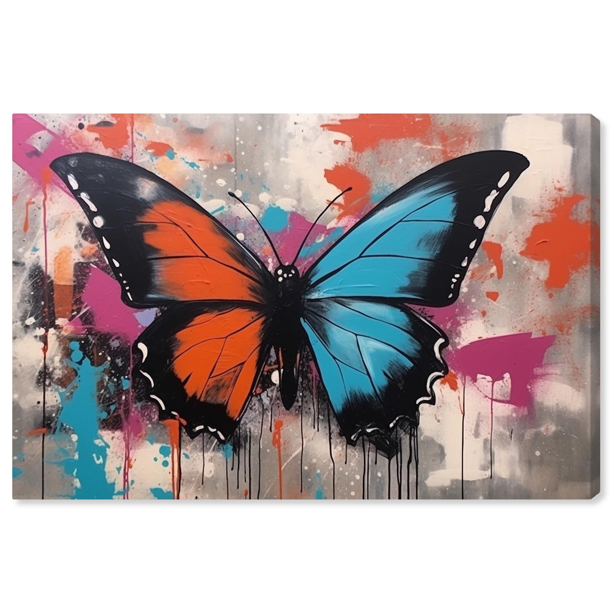 Modern Graffiti Butterfly Canvas Wall Art with Wood Frame, 15" x 10"