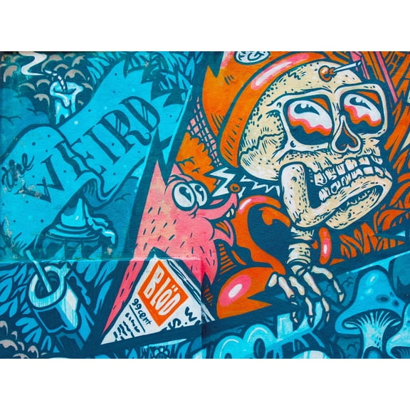 Graffiti Skull Fox Mural Large Wall Art Print