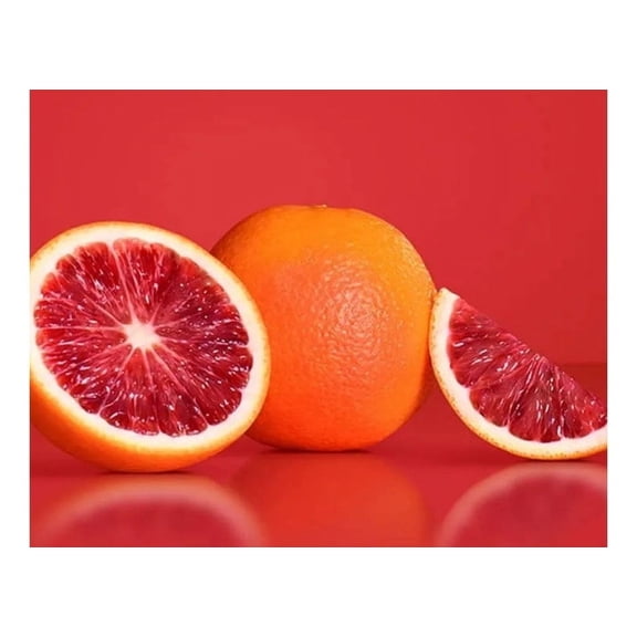 Grafted Semi Dwarf MORO Blood Orange. ships in 1 gallon pot free to all states. 1-2 years to fruit.