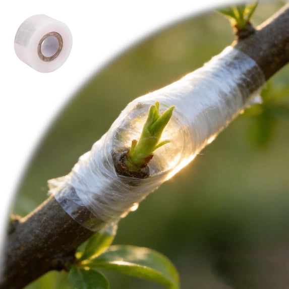 Grafting Tape, Tree Tape Grafting Kit Stretchable Gardening Tape Repair Budding Grafting Tape for Fruit Trees and Floral Tree Grafting Suppliesï¼Clear)