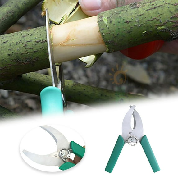 Grafting Tool Tree Trimmer Scissor for Pruning Gardening and Outdoor Vine Management