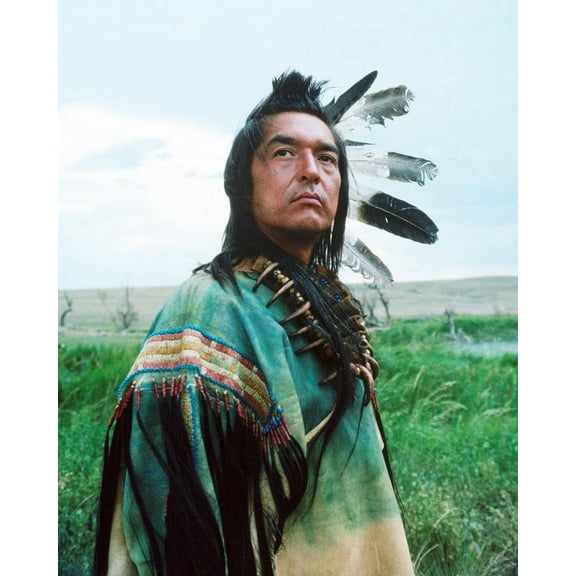 Graham Greene Dances With Wolves Indian Chief 24x36 HD Aluminum Wall Art