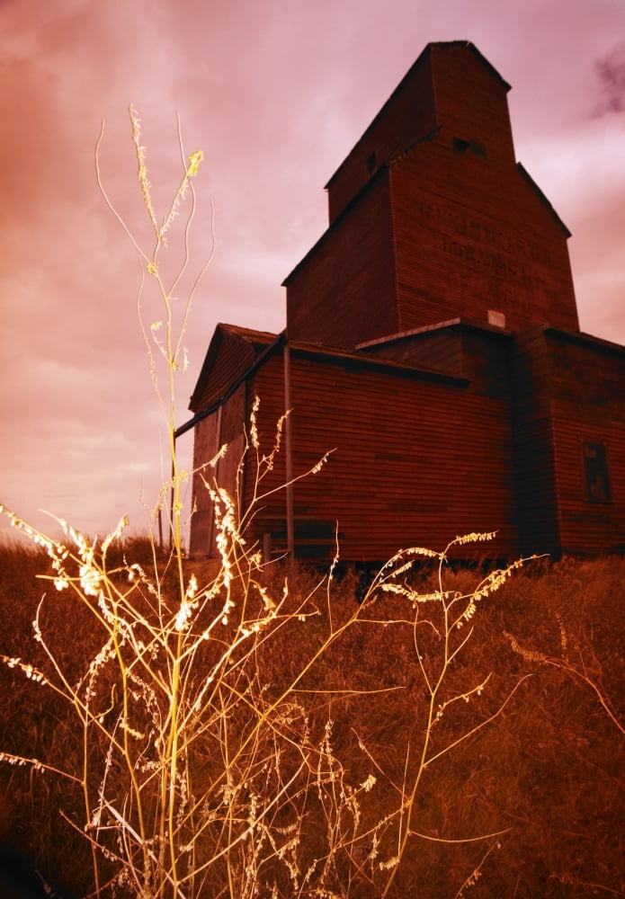 Grain Elevator Canvas Art - Kelly Redinger Design Pics (11 x 17)