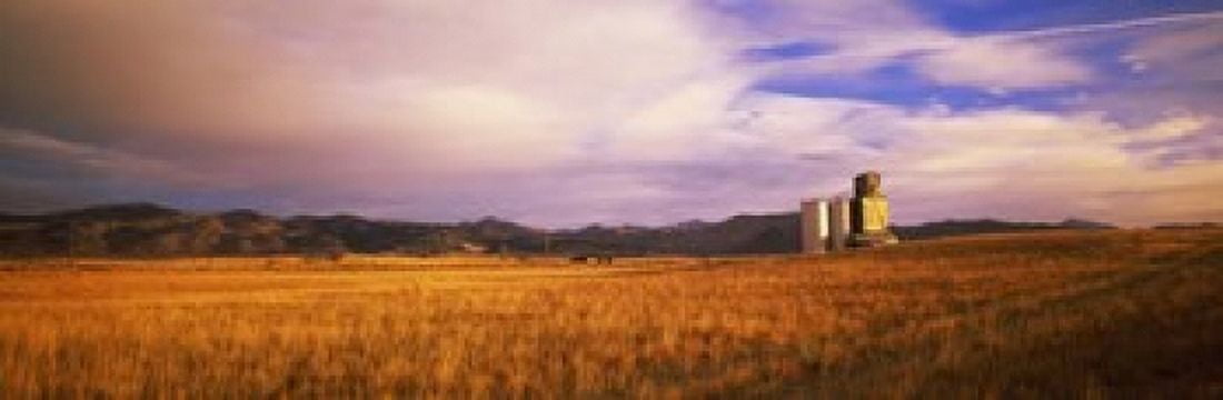 Grain Elevator Fairfield ID Canvas Art - Panoramic Images (37 x 12)