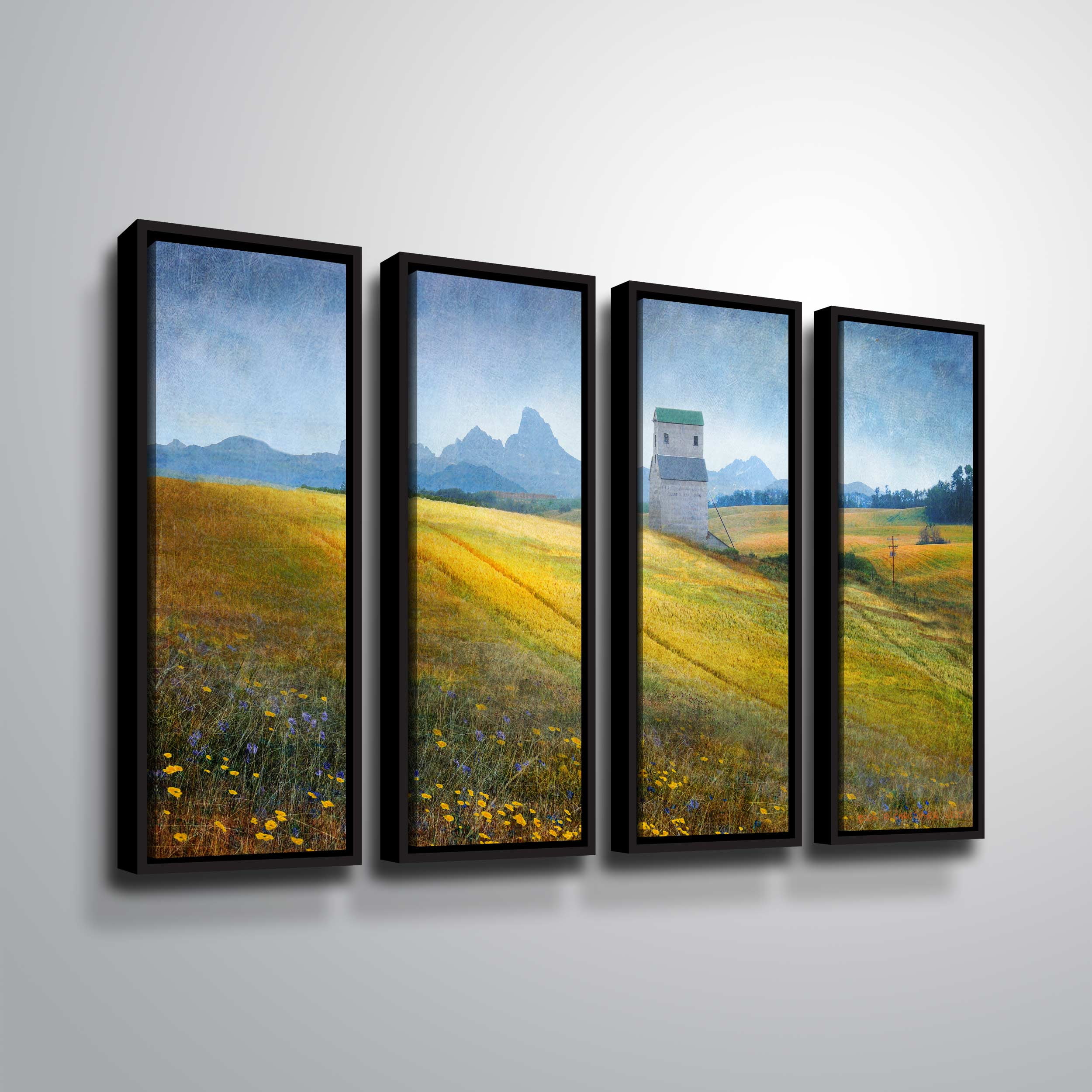 Grain Elevator Fields