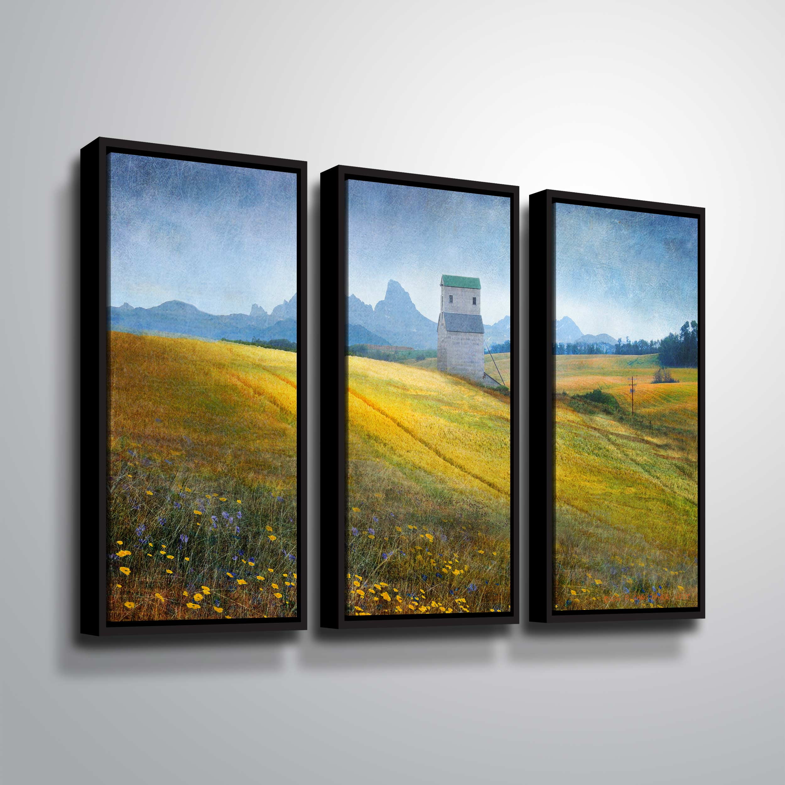 Grain Elevator Fields