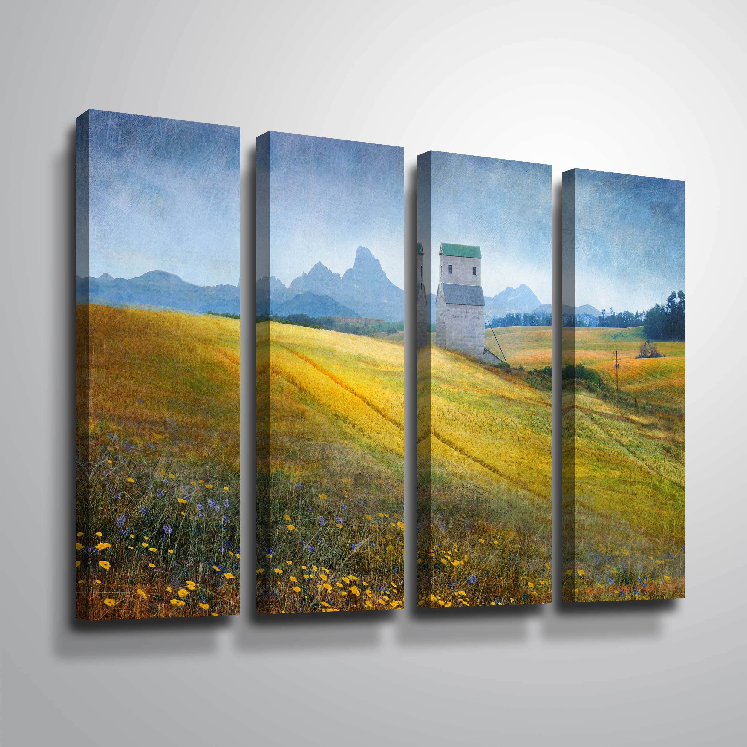Grain Elevator Fields