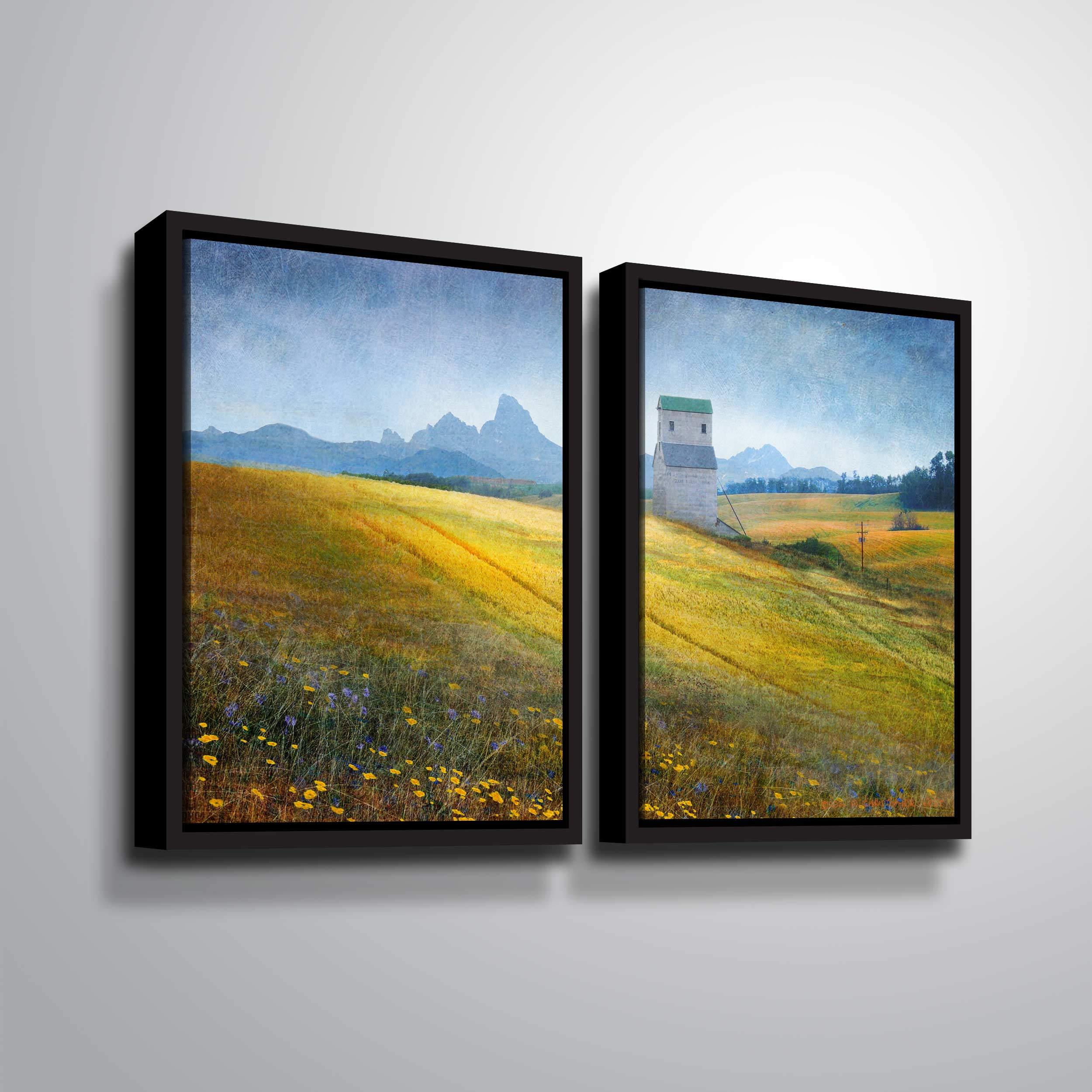 Grain Elevator Fields