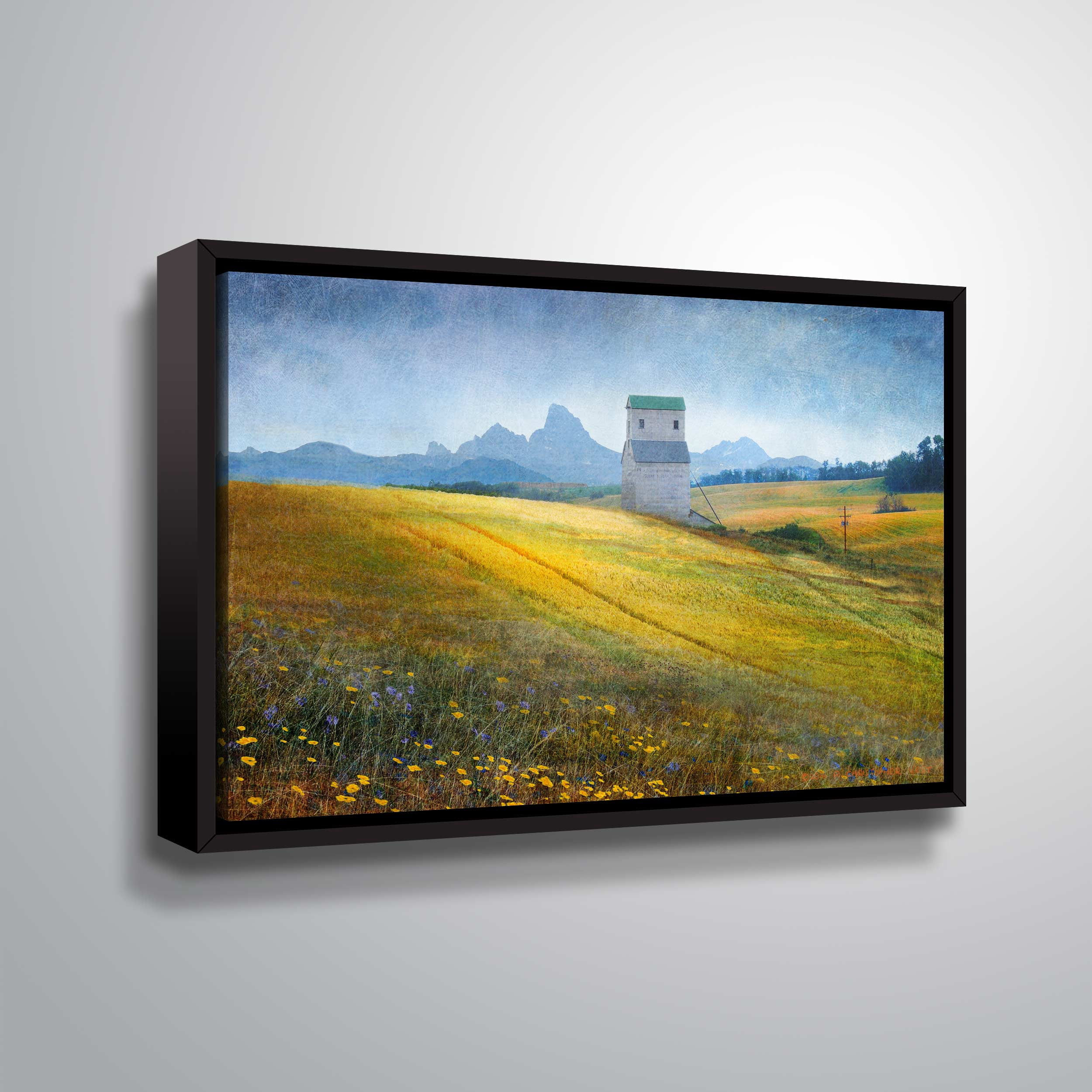 Grain Elevator Fields