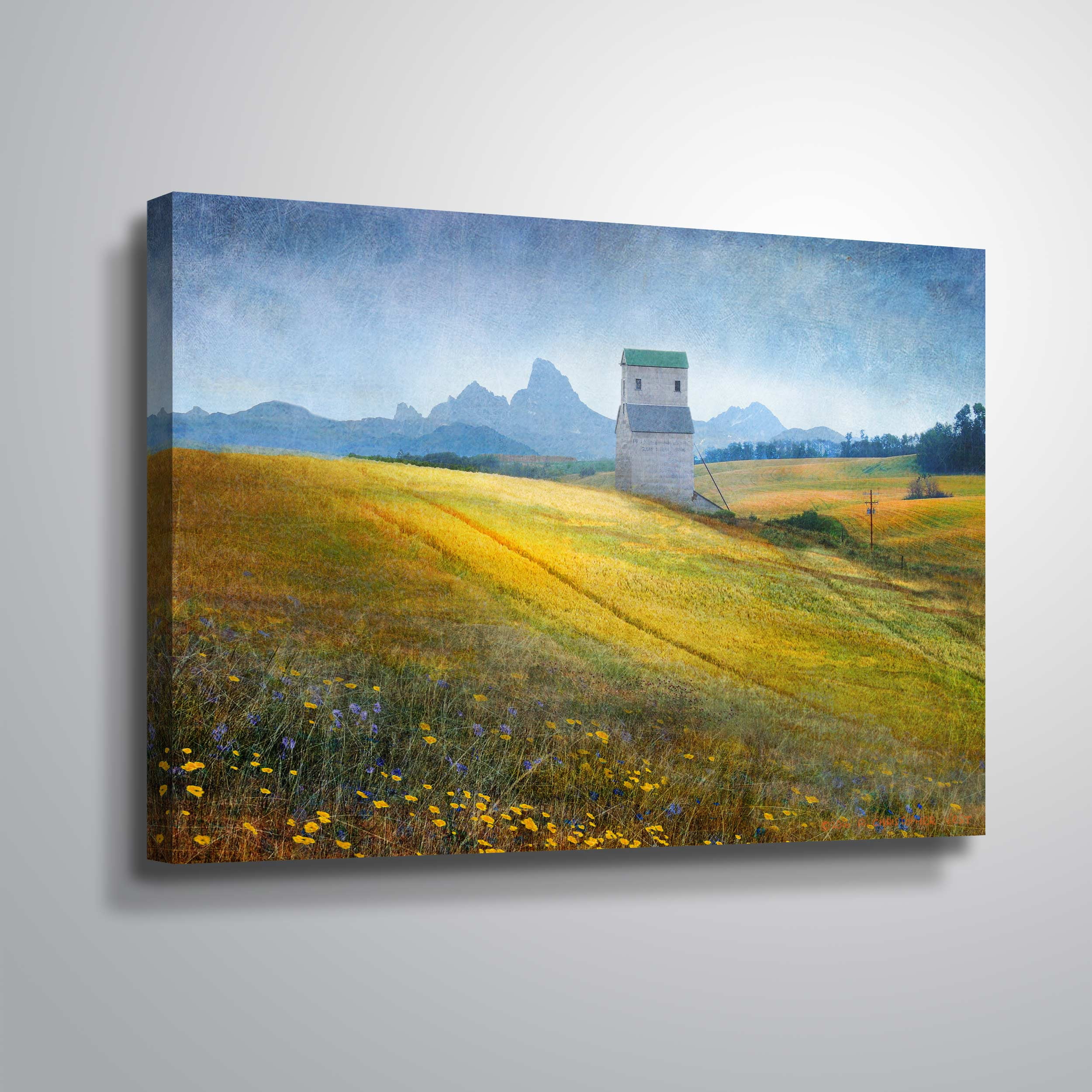 Grain Elevator Fields