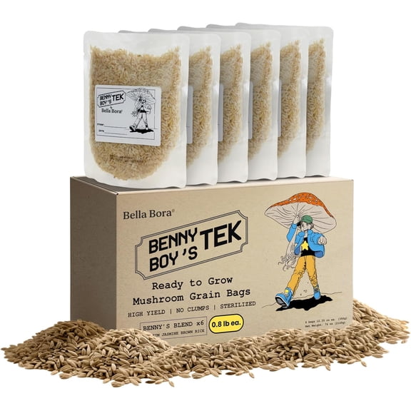 Grain Spawn Bags | 6-Pack Mushroom Grow Bags (5 lbs) | Unpolished Brown Jasmine Rice as Mushroom Substrate Sterilized | Fast Colonization Easy to Use