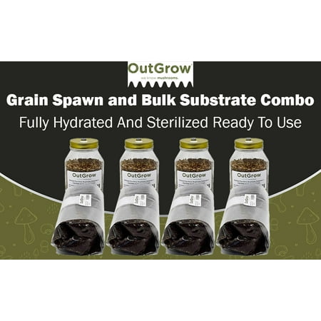 Grain Spawn Jars and Manure Substrate Combo | 4 Sterilized Rye Jars & 4 Substrate Bags
